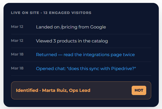 Visitor Intelligence timeline showing an identified hot lead after pricing, catalog and integrations page visits.