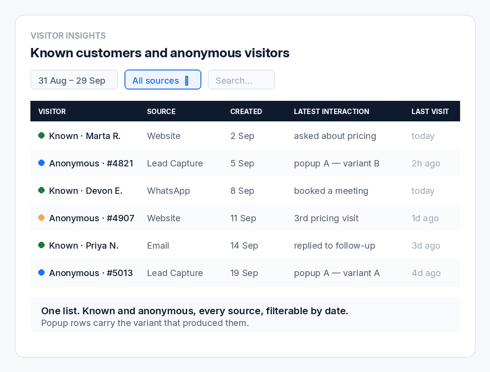 Visitor Insights showing known customers and anonymous visitors in one list with source, created date, last interaction and latest website visit